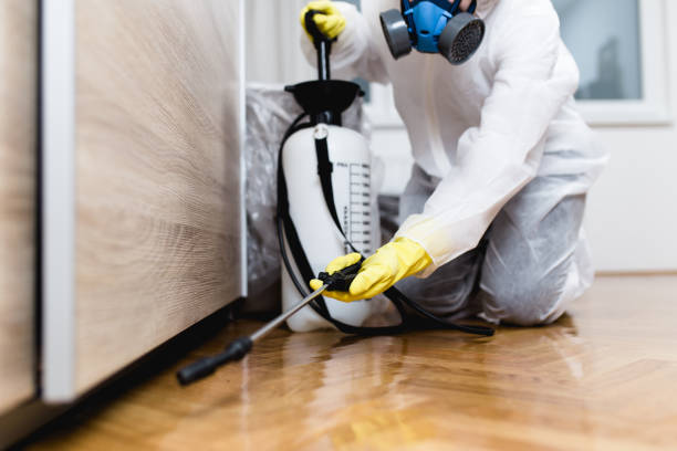 Flea Control Services in Albany, MO