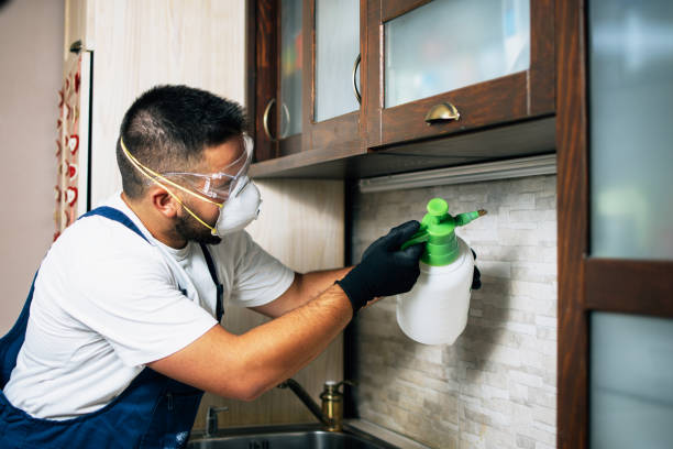 Best Affordable Pest Control Services  in Albany, MO