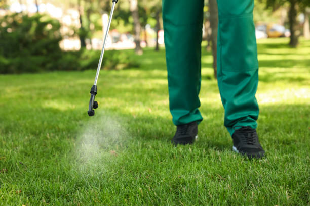 Best Flea Control Services  in Albany, MO