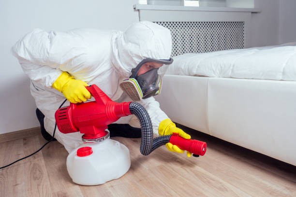 Best Best Pest Control Companies  in Albany, MO