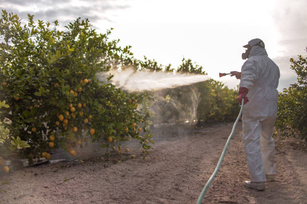 Best Pest Prevention Services  in Albany, MO