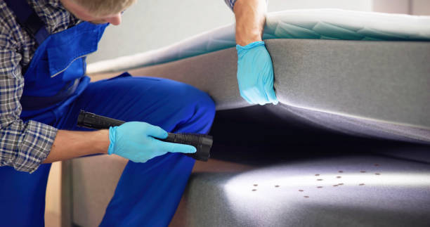 Best Rat Extermination Near Me  in Albany, MO