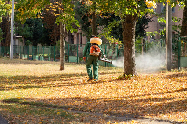Pest Control for Restaurants in Albany, MO