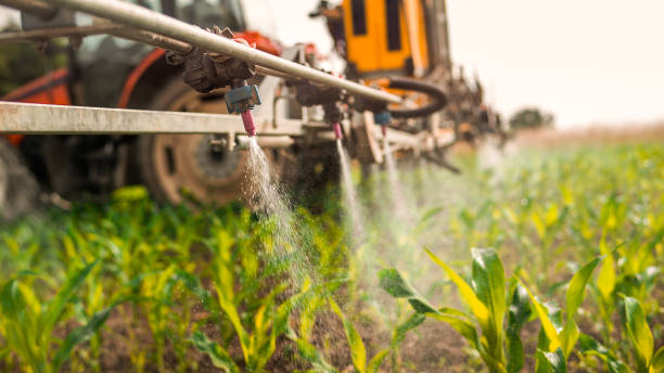 Reliable Albany, MO Pest Control Solutions