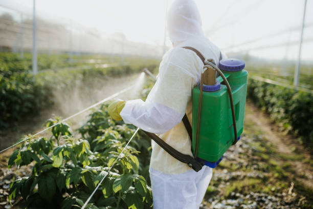 Best Termite Control Services  in Albany, MO
